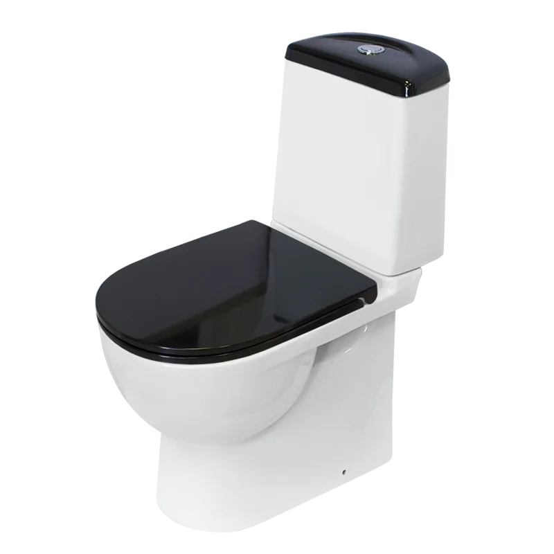 Унитаз-компакт Sanita Luxe Best Color Black с ун.вып.+стул DM(clip up)быс.сид BSTSLCC06100522  в Гусь-Хрустальном