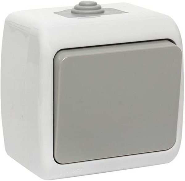 Мурманск Выключатель 1 -кл. 10А IP54 сер. EKF  в Гусь-Хрустальном