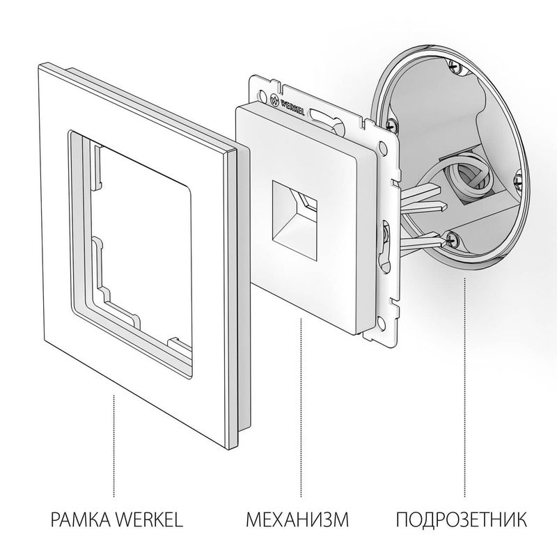 Розетка Ethernet RJ-45 (серебряный) W1181006  в Гусь-Хрустальном